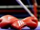 Azərbaycan dünya çempionatında 11 boksçu ilə təmsil olunacaq