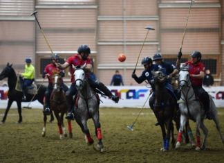 Çövkən üzrə Prezident Kuboku başa çatıb, mükafatçılar müəyyənləşib