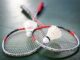 Taleh Ziyadov növbəti dəfə Azərbaycan Badminton Federasiyasının prezidenti seçilib