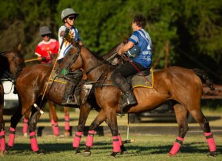 Çövkən üzrə Cənubi Amerika çempionatına yekun vuruldu