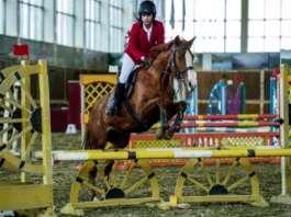 Bakıda atçılığın konkur növü üzrə turnir keçiriləcək