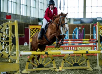 Bakıda atçılığın konkur növü üzrə turnir keçiriləcək