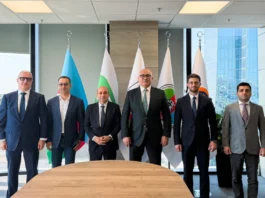 Azərbaycan Güləş Federasiyasında yeni komitə təsis edilib