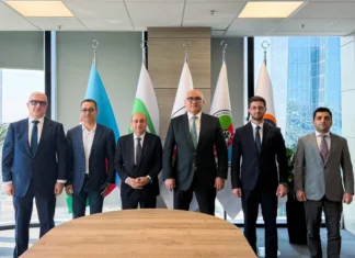 Azərbaycan Güləş Federasiyasında yeni komitə təsis edilib
