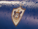 “Qarabağ”ın UEFA Avropa Liqasındakı potensial rəqibləri bəlli oldu
