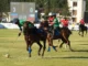 Çövkən üzrə Azərbaycan millisi dünya çempionu olub