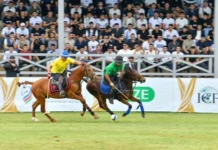 Azərbaycanın çövkən millisi mundiala uğurlu start verdi