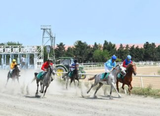 Binə Atçılıq Mərkəzində cıdır yarışları keçirilib