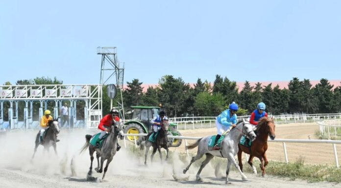 Binə Atçılıq Mərkəzində cıdır yarışları keçirilib